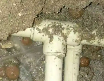 博乐测漏水多少钱