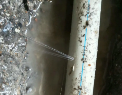 博乐测漏水哪家好